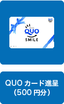 QUOカード進呈（500円分）